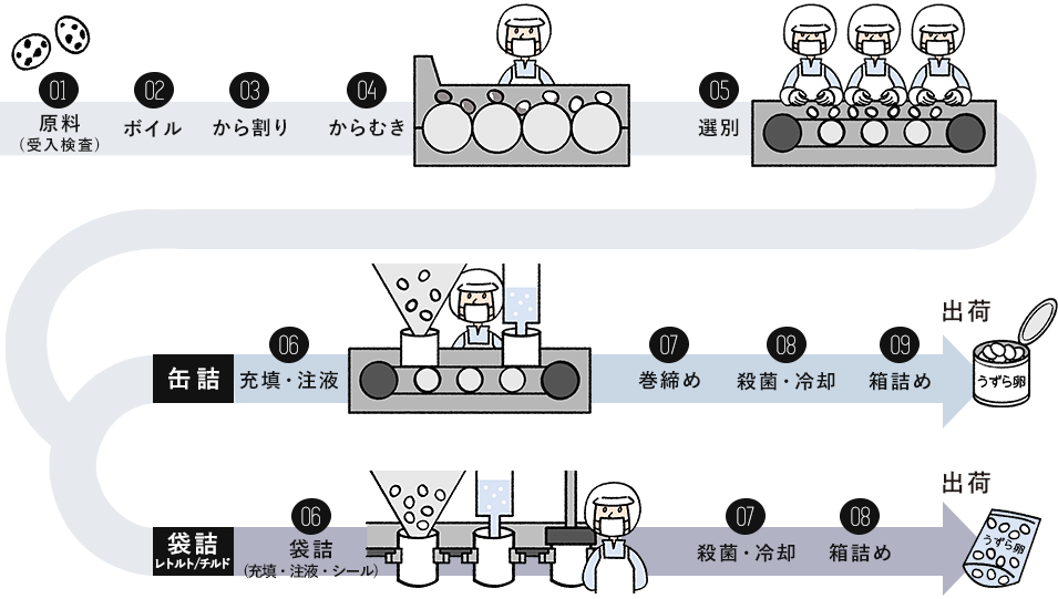 うずら卵水煮製品の製造工程図